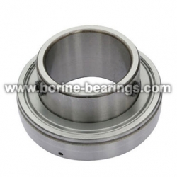 Insert Bearing