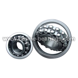 Self-Aligning Ball Bearings