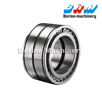 SL045013 SL045013PP SL045013PPC3 Cylinder Roller Bearings