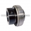 Insert Bearing